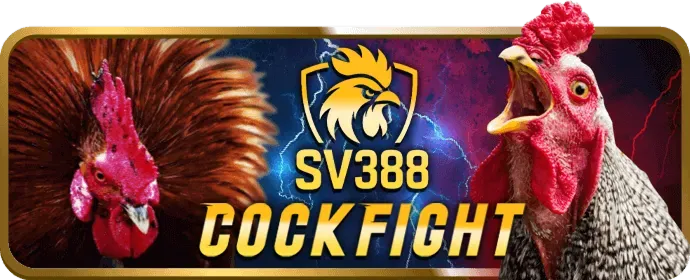 Hình ảnh minh họa các câu hỏi thường gặp về 49win
